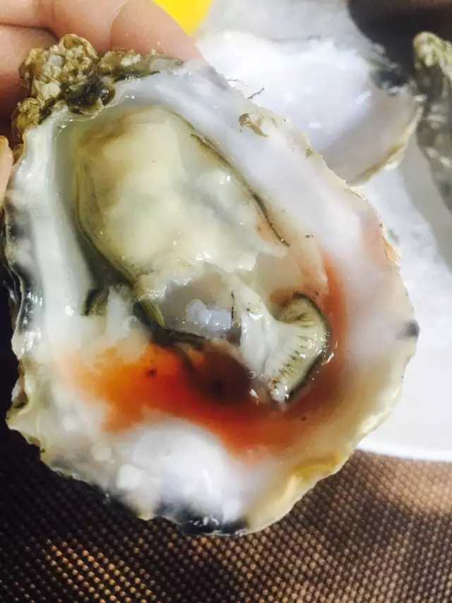 需要我来教你吗英文,你愿意请我吃生蚝吗