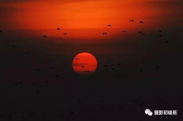 新手学摄影入门视频教程,摄影入门速成30个基本技巧