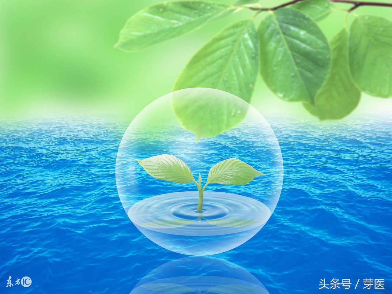 每天10分钟，162天读懂《黄帝内经》——取法阴阳之道