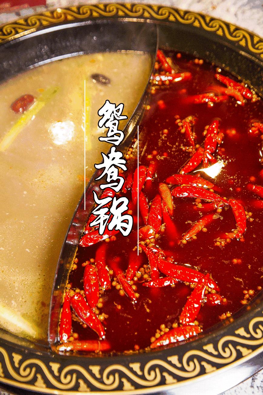 今晚深圳有什么活动,最近深圳周末有什么活动吗