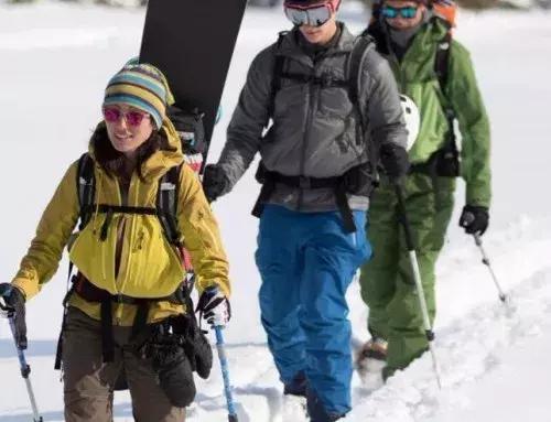 干货热销排行榜,干货十大排行榜