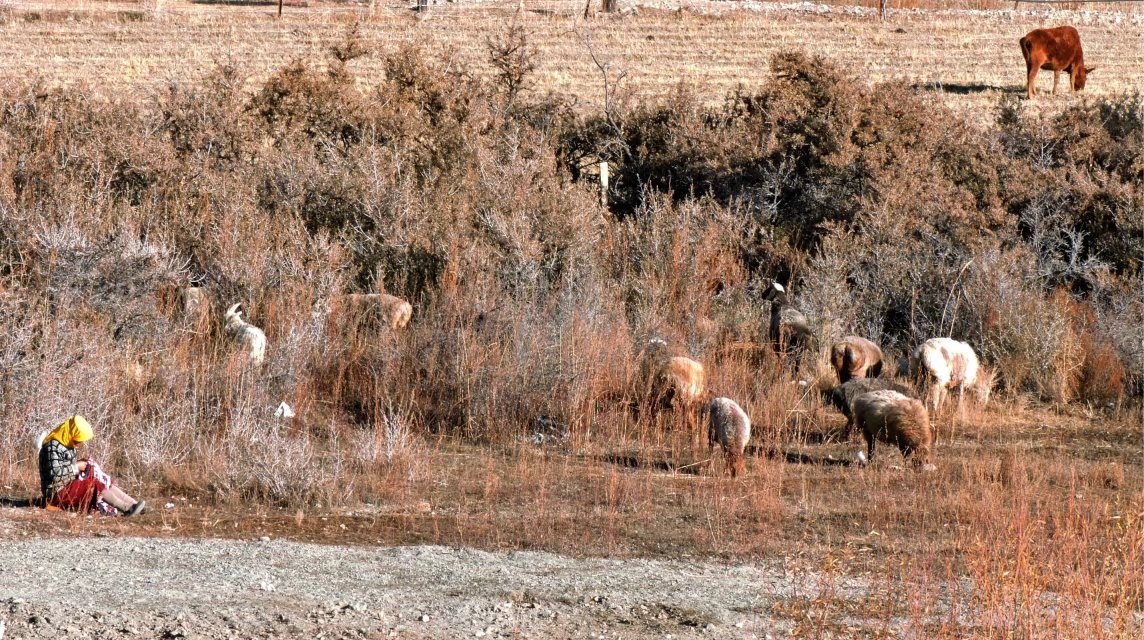 探访新疆帕米尔高原唯一白人民族,探秘帕米尔高原塔吉克族