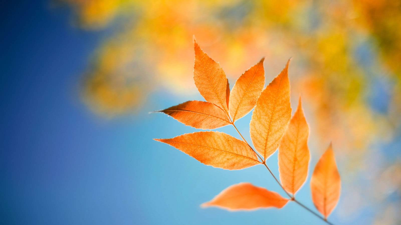 战胜恐慌的最好办法就是面对恐惧,心里胆小害怕恐惧恐慌应该怎么办