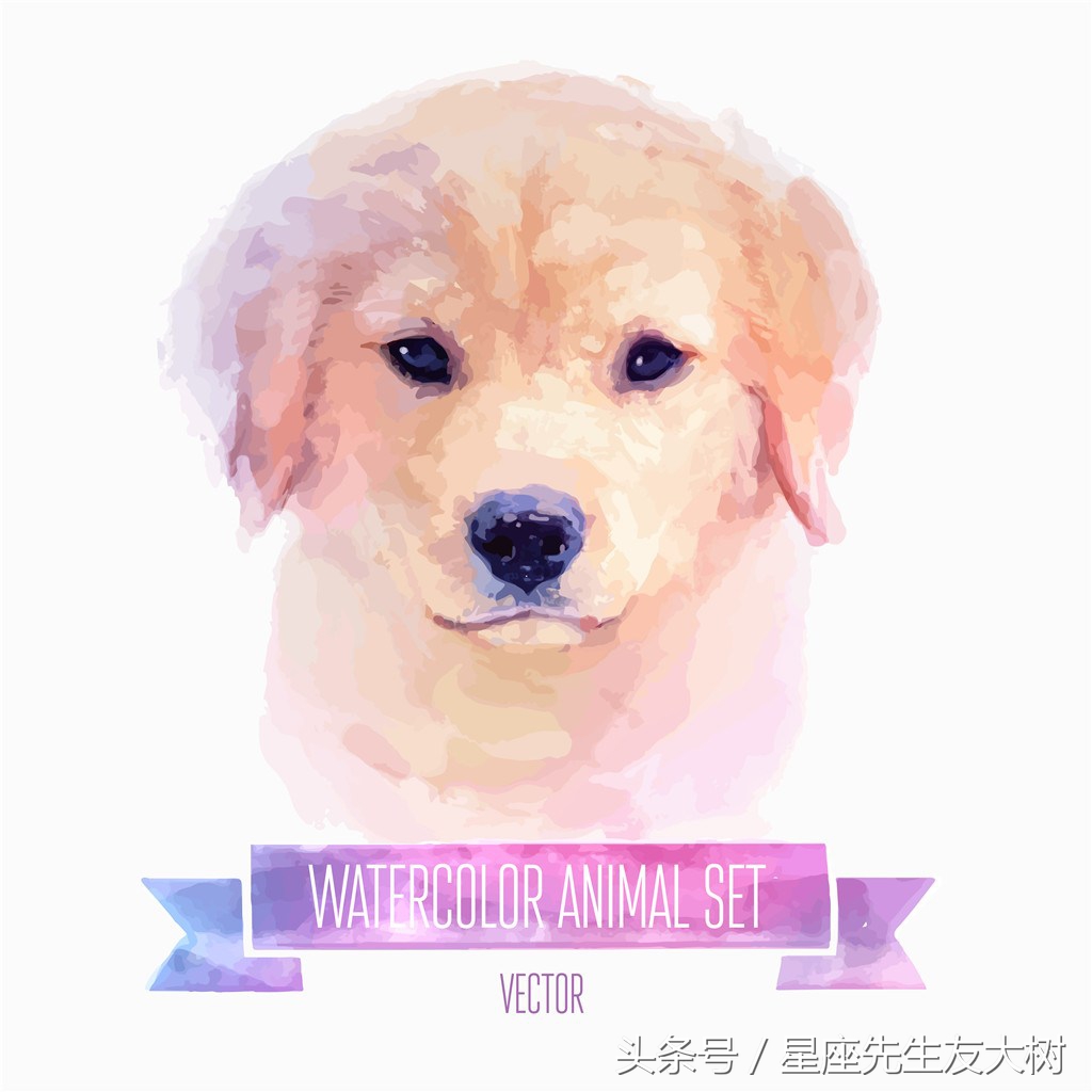 2018狗年戊戌十二生肖运势详解,戊戌日十二生肖运势