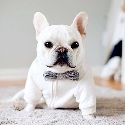 奢侈品季节限定款到底值不值得买,各奢侈品龙年限定