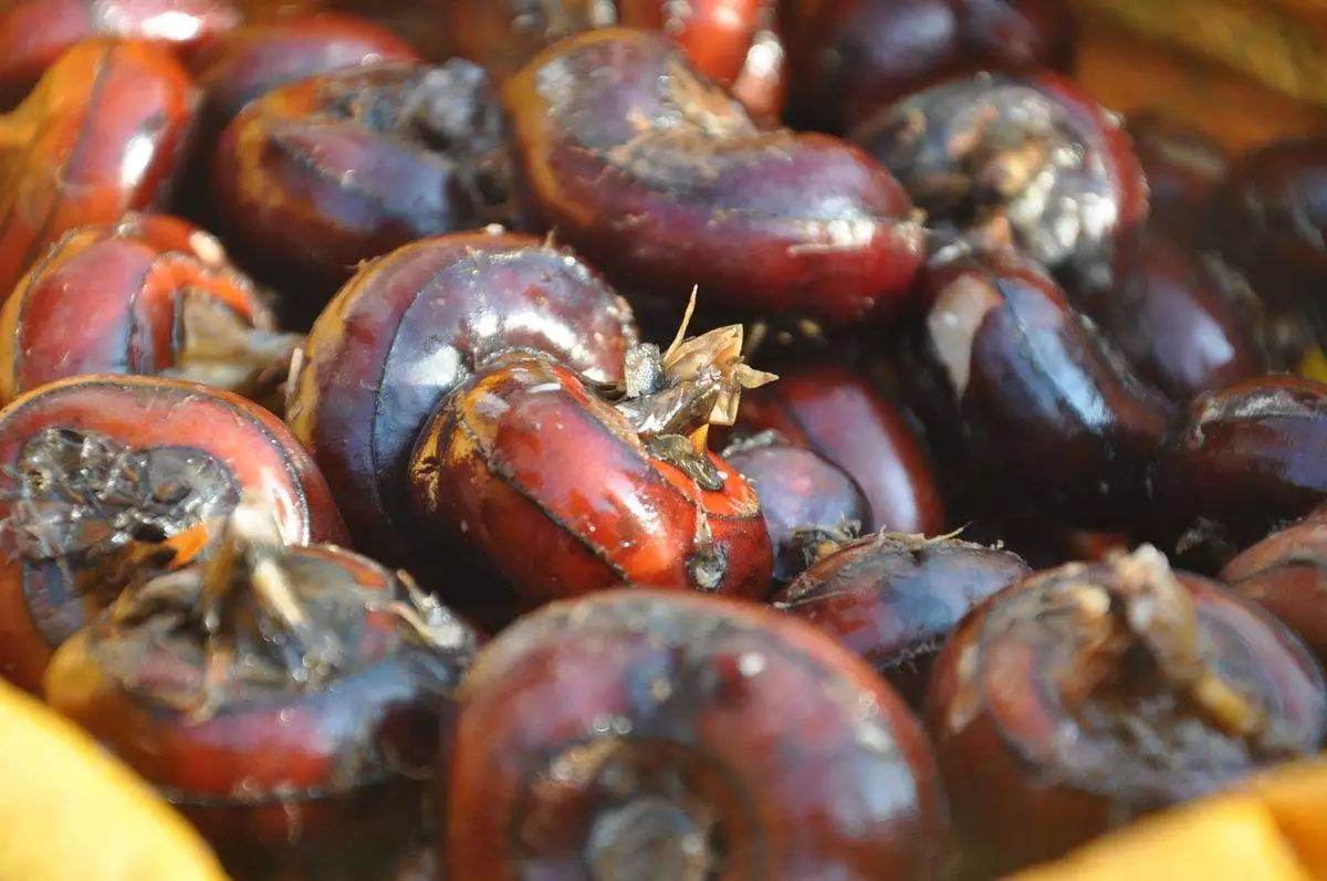 南通一整年的时令美食都在这儿，新一年照着吃就对了！