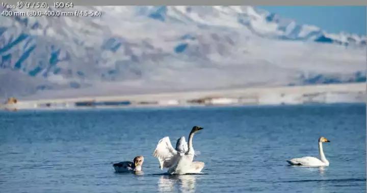 阴天室外拍照几点光线最好,下雨天拍照的注意事项