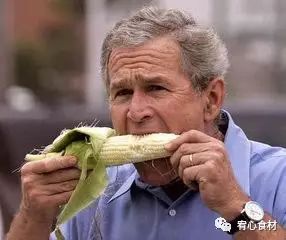 云南爆浆冰糖牛奶玉米,云南爆浆牛奶水果玉米