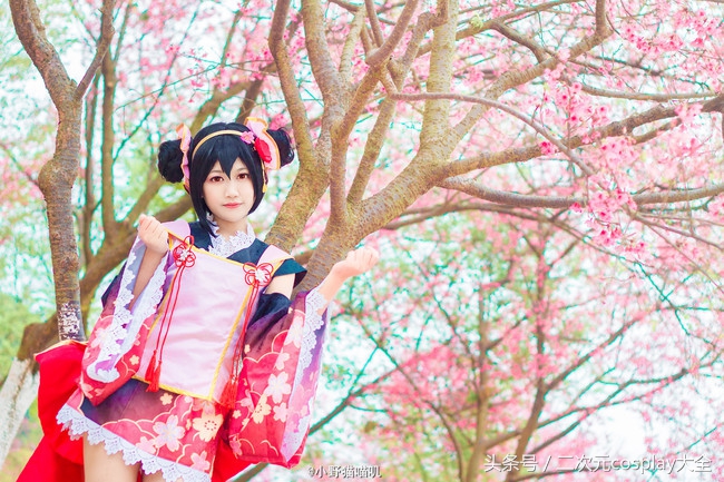新的一年你是选择看樱花，还是超级可爱的妮可呢？