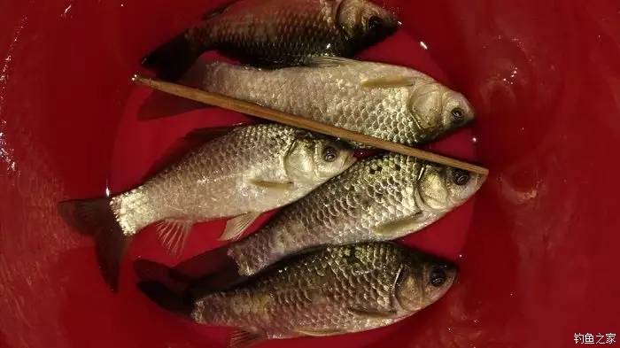 久违的晴天歌词,久违的晴天