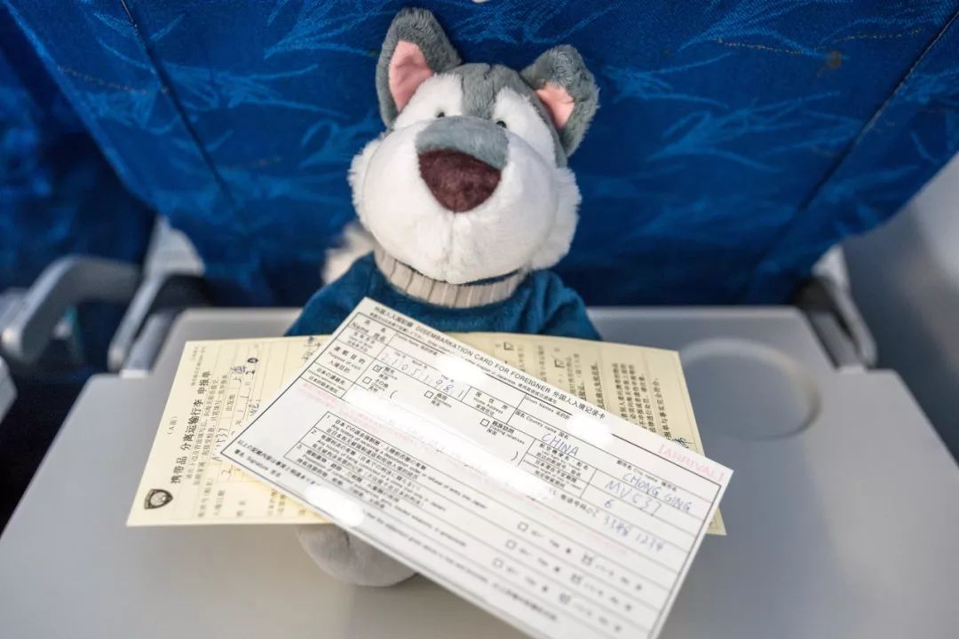 狗哥的热评,狗哥热评