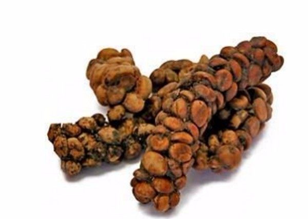 世界最珍贵的九种食材,世界最珍贵的五种食材