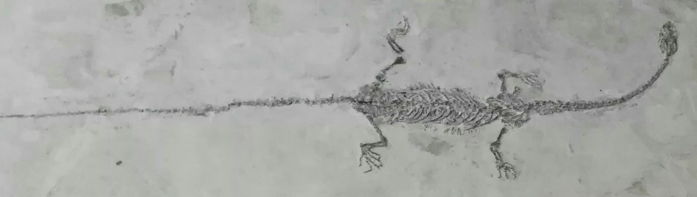 生命是什么最经典的回答,真正的生命是什么样的