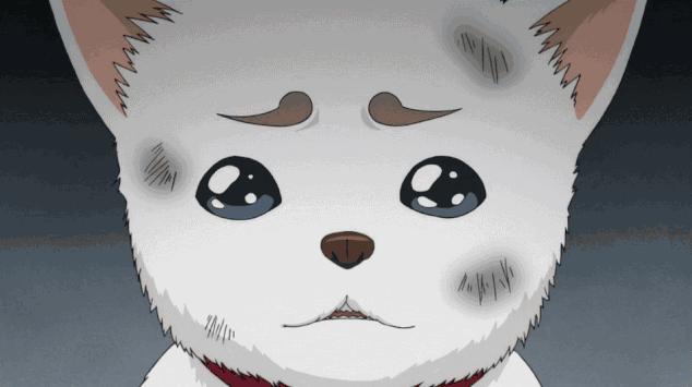 西安长安区幼升小学校排名,西安十大最好幼升小私立学校