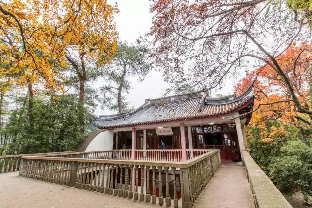 2018年浙江地方景点旅游日历大合集！含杭州，建德，温州，金华！