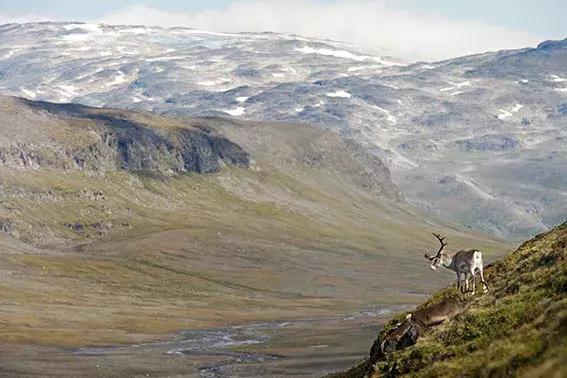 今年8月Fjallraven邀请你一起去北极圈穿越