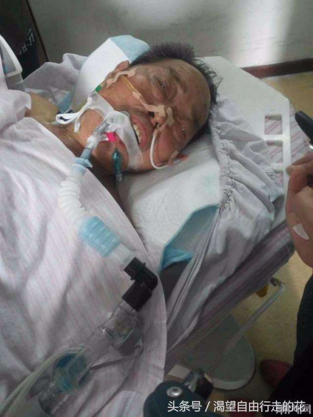 家里盆栽有这几样的赶紧扔掉,盆栽哪些绿植有毒性大