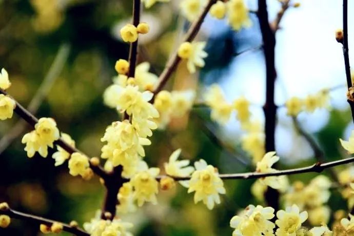 2018年浙江地方景点旅游日历大合集！含杭州，建德，温州，金华！