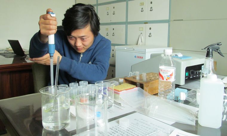 食品质量问题属于瑕疵还是缺陷,我国食品理化检验存在问题及对策