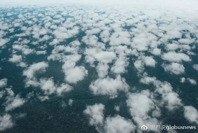 拯救世界的刚果湿地，能否拯救当地人的生活？