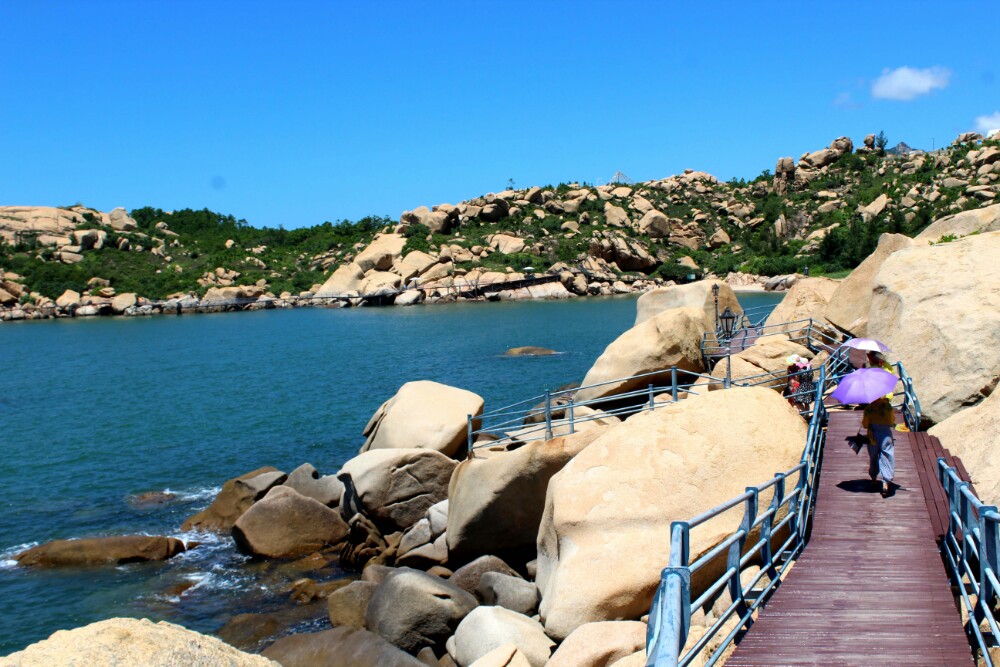 江门小鸟的天堂旅游攻略,江门小鸟天堂附近免费游玩的地方