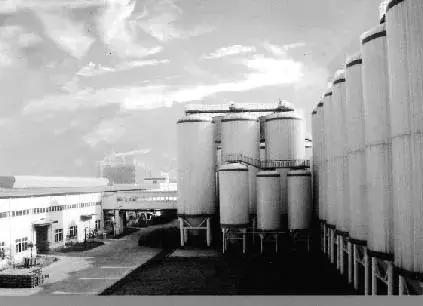 双鹿干为什么叫温州拉菲,温州双鹿干啤酒