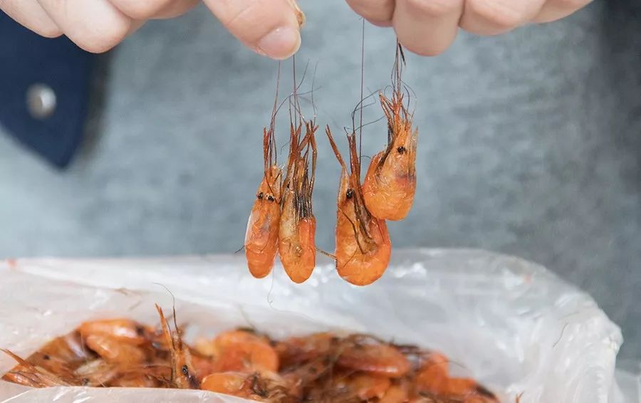 魔都上海十大世界之最,魔都十大未解之谜