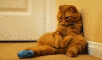 污水能洗澡吗,你还用污水洗澡吗