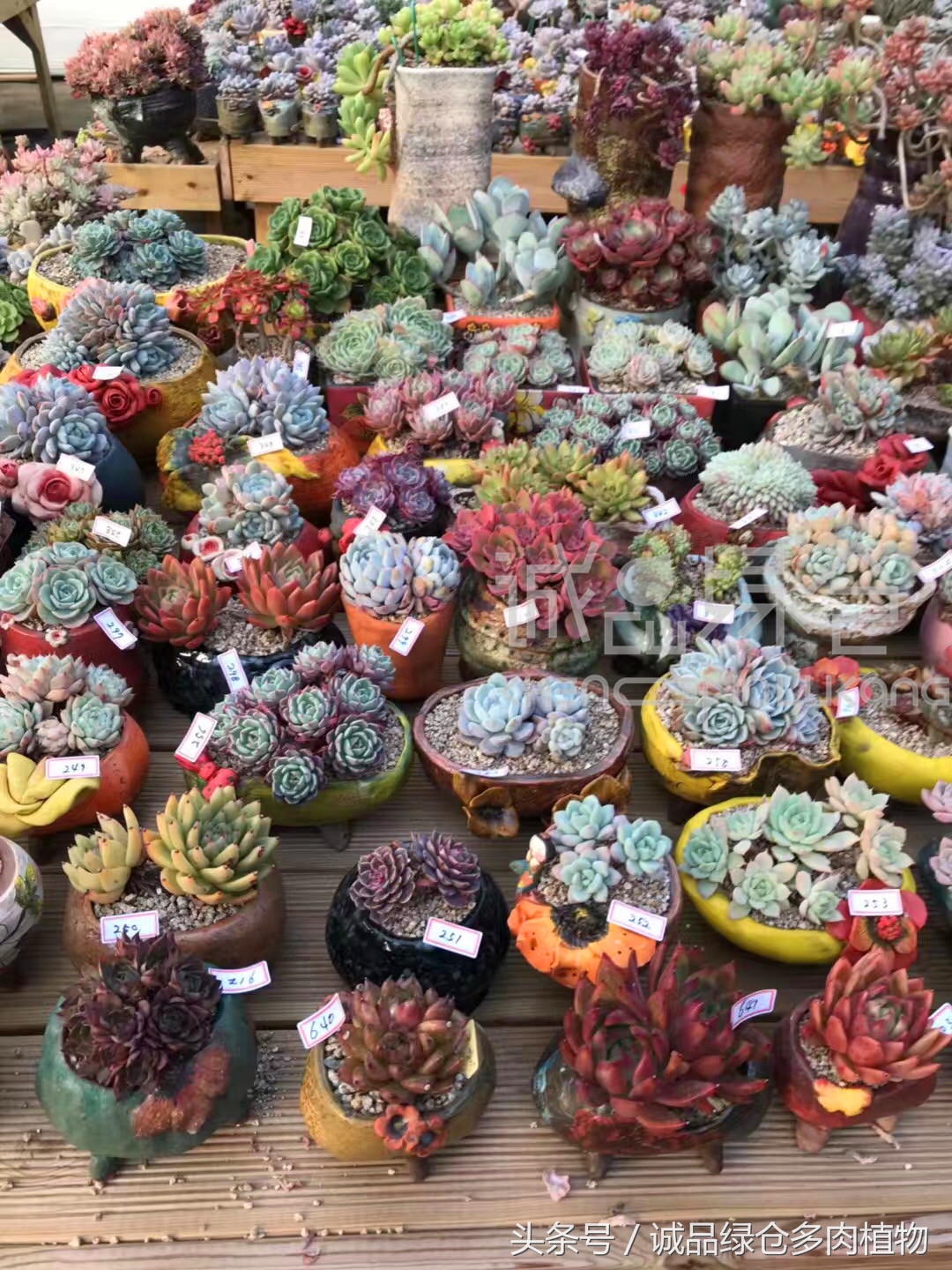 满足你对的所有幻想,满足你对生活所有的想象