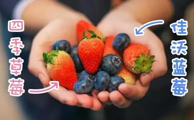 魔都颜系甜品,草莓甜品推荐