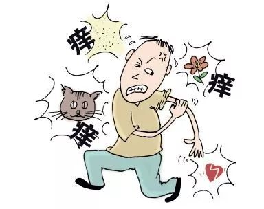 林佳含泪吃芒果过敏图片,前任林佳吃芒果过敏片段