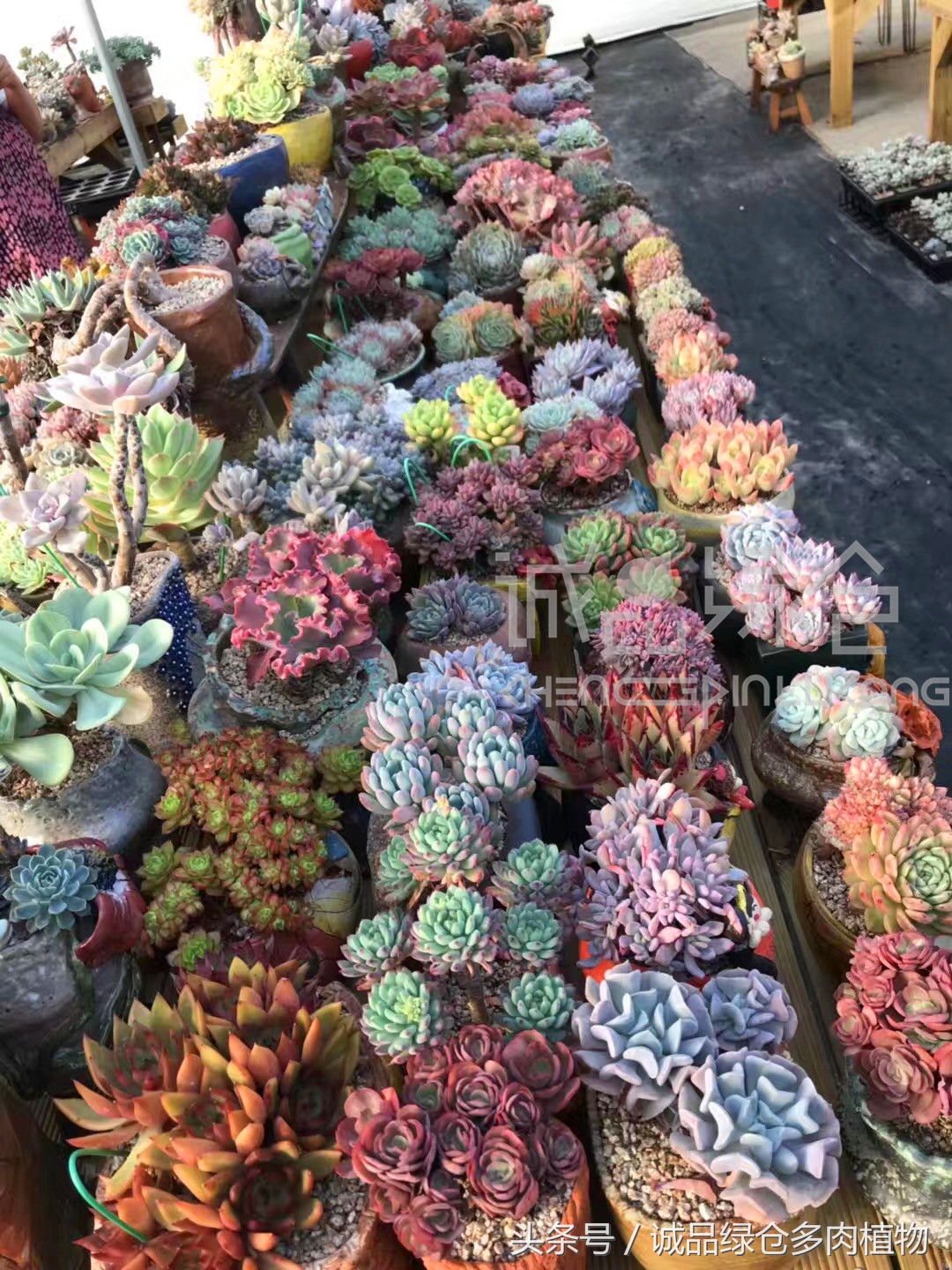 满足你对的所有幻想,满足你对生活所有的想象