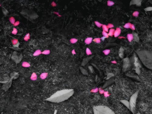 这世上根本就没有感同身受这回事,世上根本没有感同身受的句子