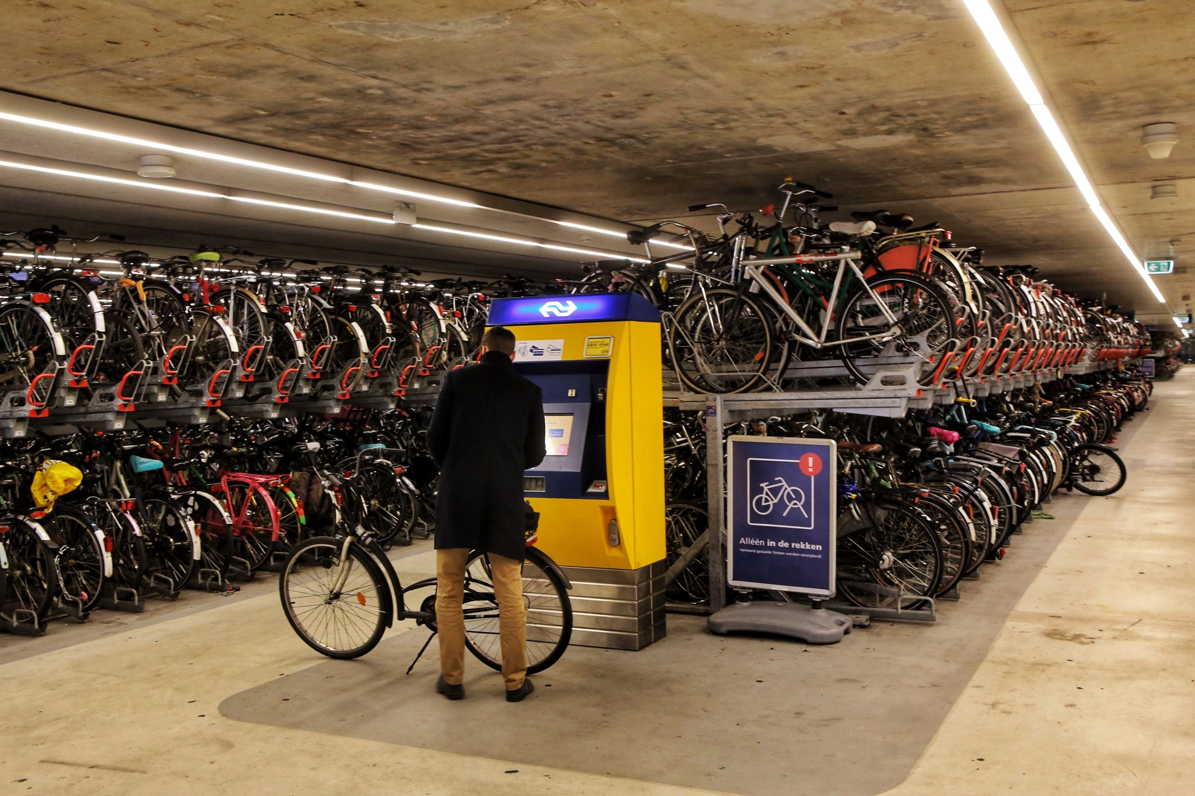 共享单车和德国自行车 (中国自行车与外国自行车哪个好骑)