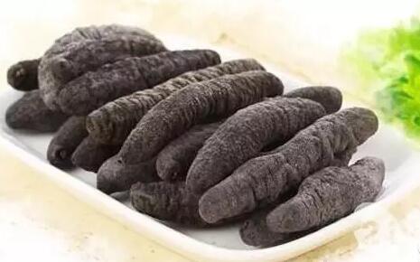 你知道世界上的鱼类有多少个,你知道的海底世界有多少种鱼