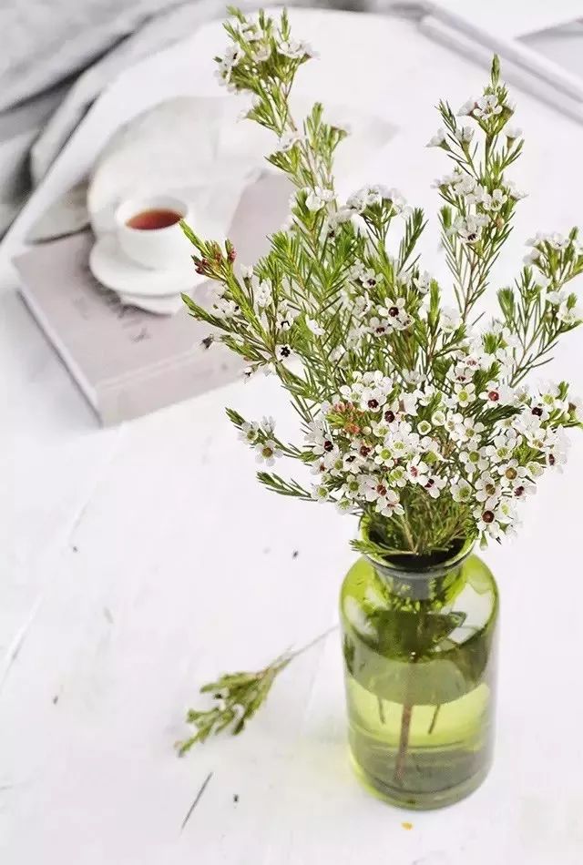 宋慧乔婚礼手捧花铃兰花价格惊人,宋慧乔婚礼手捧花是什么花