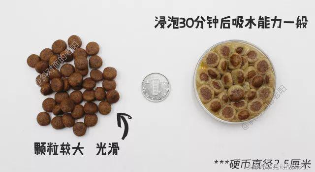 宠粮河北,怎么评价河北宠粮