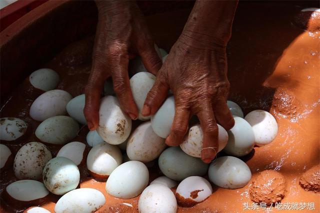 海鸭蛋到底好不好吃,海鸭蛋到底有没有黄
