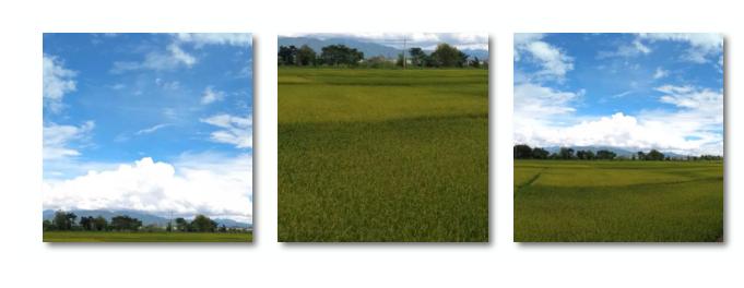 易经中的阴阳指的男人和女人,易经男女阴阳二合一之道