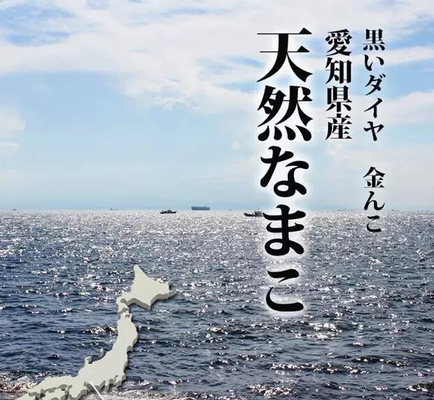 你知道世界上的鱼类有多少个,你知道的海底世界有多少种鱼