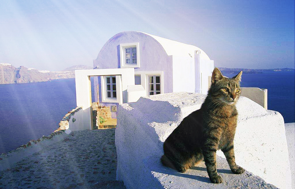 希腊和马耳他移民哪个更合适,希腊移民与马耳他移民对比