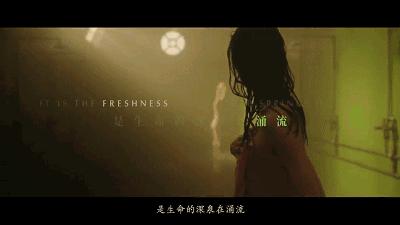 这篇文章说透了中国历史,一起来回顾中国电影