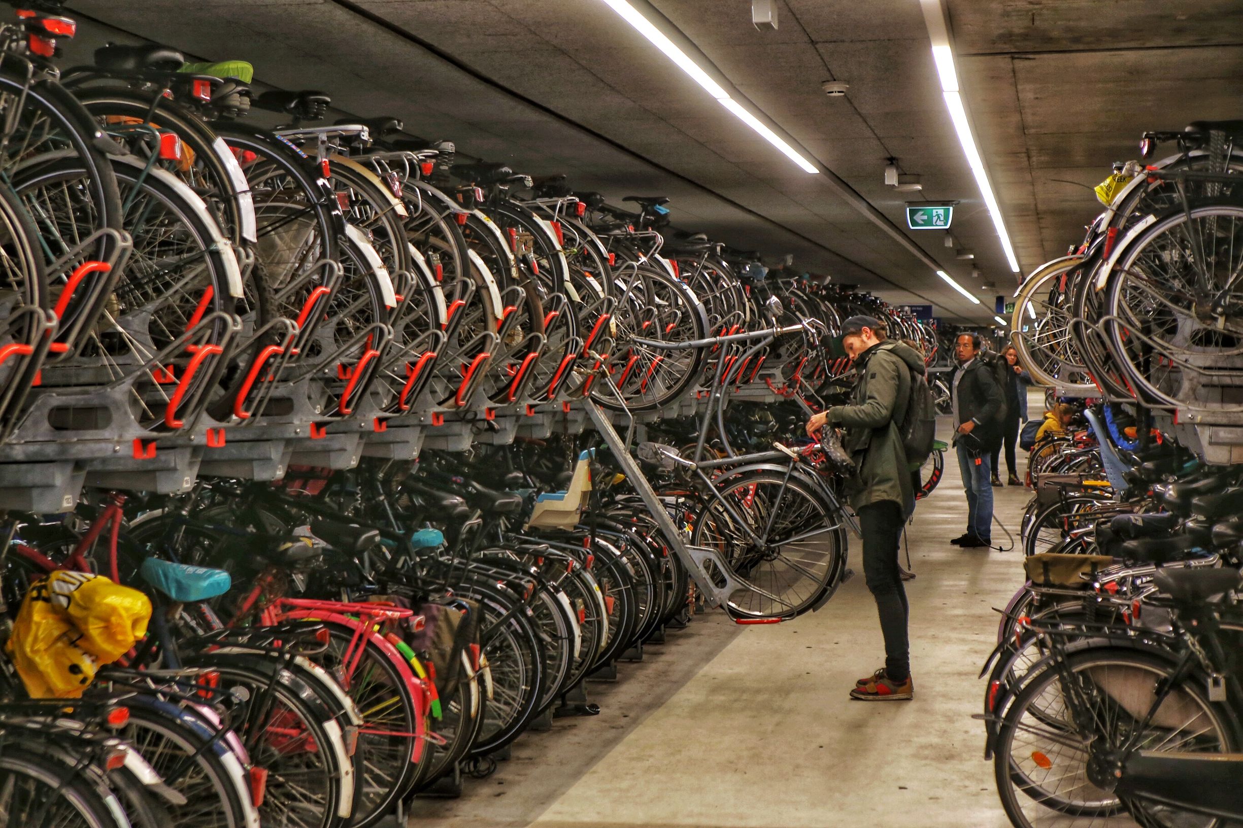 共享单车和德国自行车 (中国自行车与外国自行车哪个好骑)