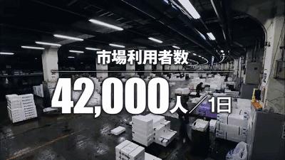 日本的海鲜市场现在最新情况,日本青森海鲜市场