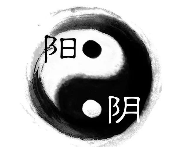 易经中的阴阳指的男人和女人,易经男女阴阳二合一之道