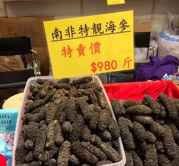 带您了解世界海参,你知道全球有多少种鲨鱼吗