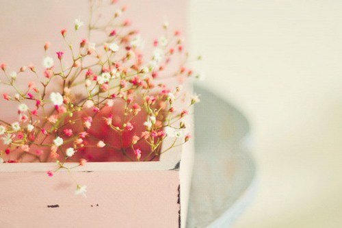 关于爱情五个骗人的心灵鸡汤,心灵鸡汤人生感悟朋友圈关于爱情