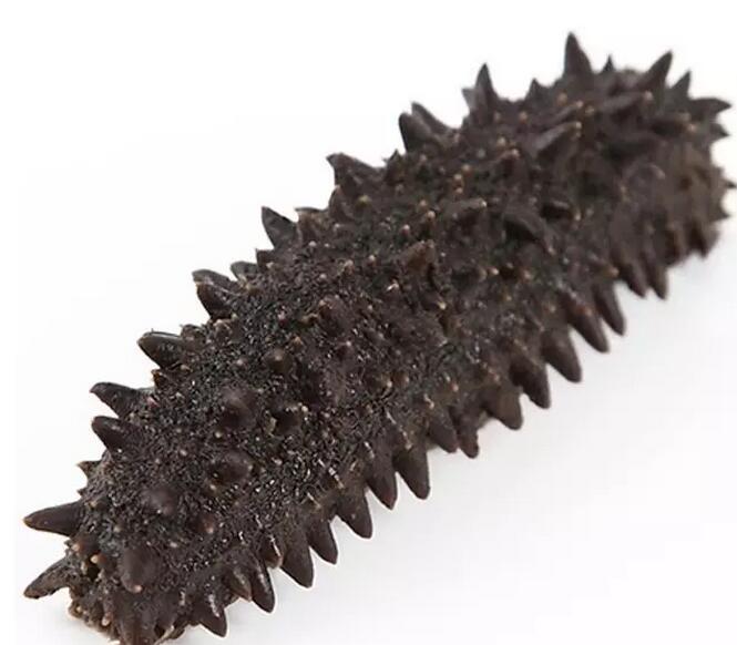 海参有上千种都是一样的吗,全世界海参有多少品种