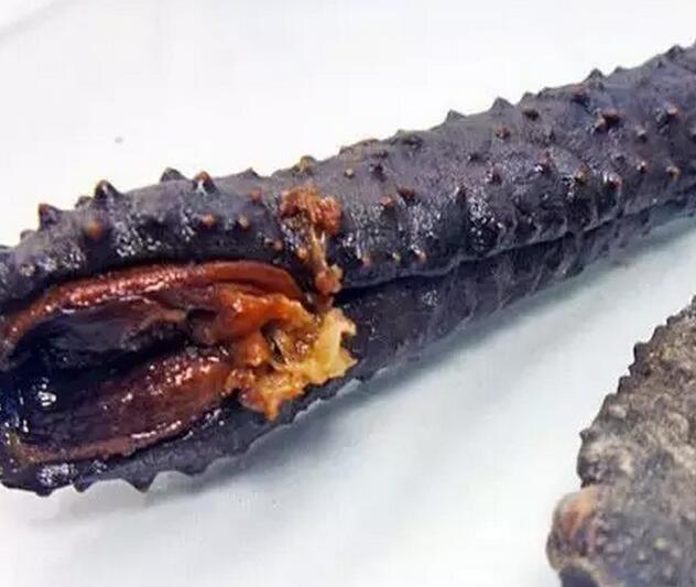 海参也有很多种,全世界所有可以吃的海参