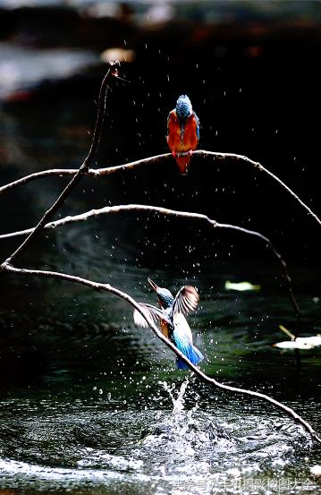 新手必须掌握的20个摄影构图法,摄影必学的9种构图